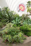 0142_Botanical Gardens_Sheffield_.jpg