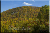 Great Fall Foliage Along The Parkway