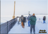 Photographers Braving The Freezing Cold To Photograph The Eagles.