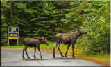 Dining In The Bartlett Lodge Area 
