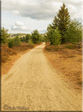Abandon Airfield With Trail Going Through Bear Country