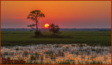 The Long A Waited Sunset