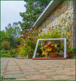 Framed Flowers At Entrance 