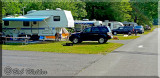 More Neighboring Campers On The Coyote Loop
