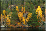 Lat Fall Foliage On Costello Lake
