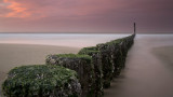 Noordzee Cadzand