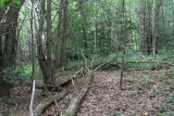 IMG_1271.jpg