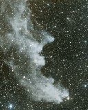 Witch Head Nebula - IC2118