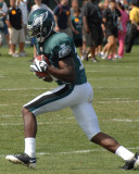 Eagles 355.jpg