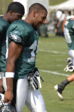 Eagles 381.jpg