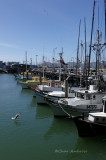 SF Fishermans Wharf 