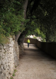 Path to Eremo delle Carceri