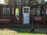Hornitos Bath House