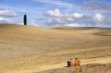 Lonesome Oil Cans 