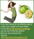 Garcinia Cambogia Dr Oz-Is it Safe to Use