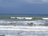 IMG_9601 2.JPG