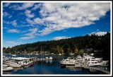 IMG_8582.jpg Gig Harbor