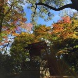 Japanese garden at Kinkakuji temple