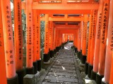 Fushimi Inari 