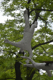 Tree - Art