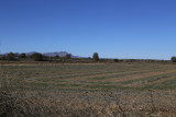 El Bosque del Apache Wildlife Refuge