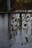 The moat at castle Amerongen