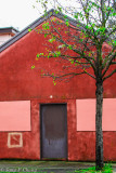red house with a green tree infront