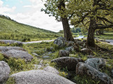 Langdale path