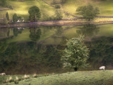 Mirror lake!, Rydal Water