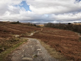 Rydal path