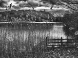 Storm over Rydal (mono)