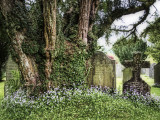 Church graveyard - Grasmere