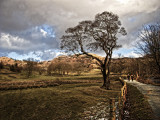 Evening walk Langdale