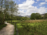 Summer Path