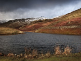 Alcock Tarn