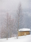 Christmas snow - Norway