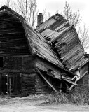 Winter was hard. CZ2A1059.jpg