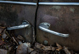 Discarded cars emerge. CZ2A1581.jpg