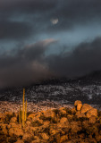 A full moon on the rise as we returned to 4 wheel out of the area. CZ2A6086.jpg