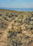 Oregon Interpretive Trail
