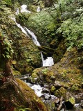 View of small waterfall above Lake Quinault