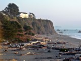 Brookings driftwood washes up after storm.jpg