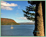 Moored In The Bay