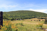 Hills of Maple