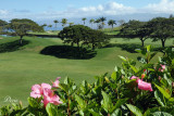 Big Island Country Club