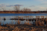 Fin du jour sur ltang - Sunset on the pond