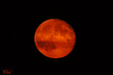 Lune rouge du mois daot - Red moon