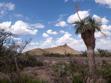 Panther Junction, Big Bend NP