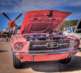 A pair of Mustangs