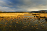 Traeth Mawr, Mynydd Illtyd